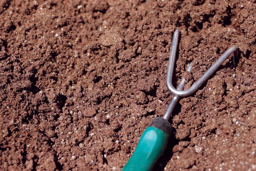A hand till device in freshly moved soil.