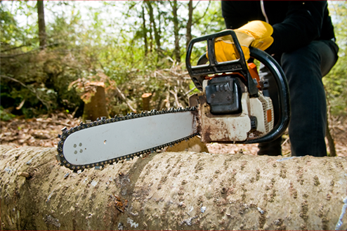 man cutting a tree with chainsaw