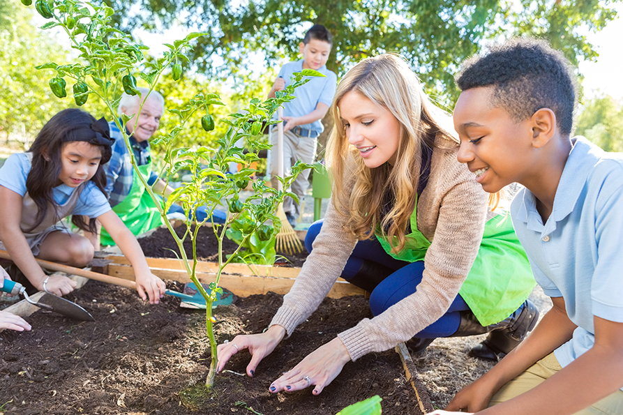 children and teacher planting in a raised garden with dark soil