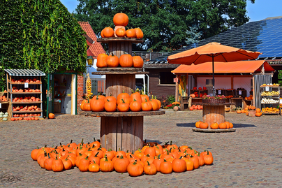 pumpkins arranged at a farmstand