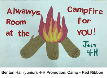 Benton Hall (Junior) 4-H Camp Promotion showing three logs and campfire; reads Always room at the campfire for you! Join 4-H.