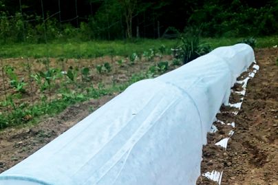 low tunnel with row cover blanket