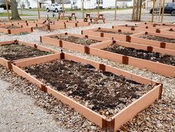 Raised garden beds at the wirt county community hope garden