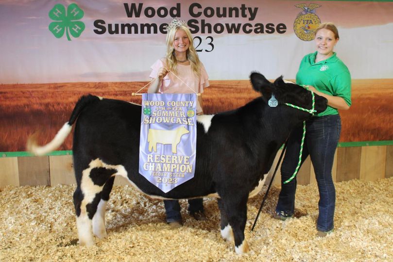 a gril and her champion feeder steer