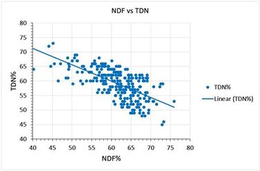 As forage neutral detergent fiber (NDF) increases the total digestible nutrient (TDM) content of the forage decreases. Variation about the average linear regression line is due to the digestibility of the NDF and the rate of passage from the rumen.