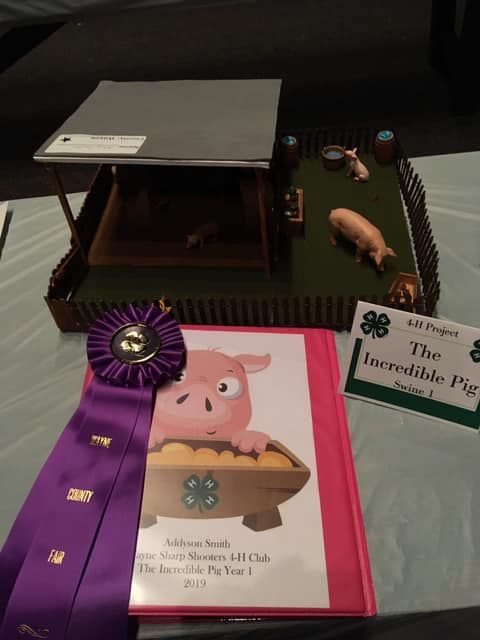 Addy Smith Best of Show Hog Project