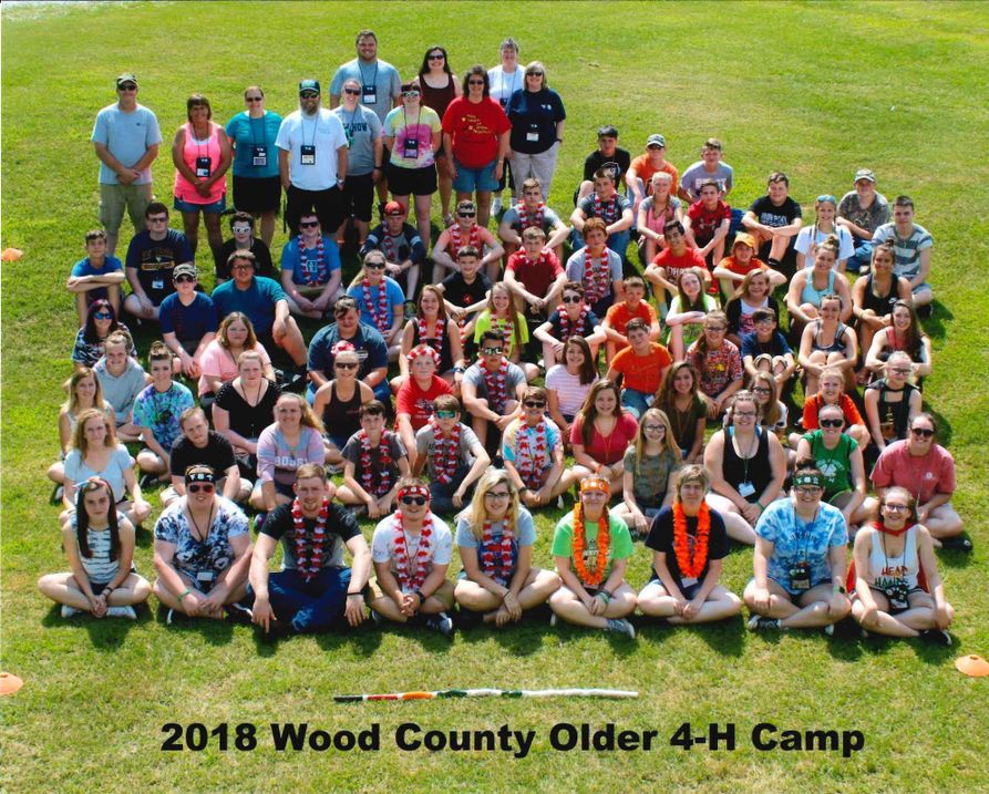 4-H Older Camp Picture 