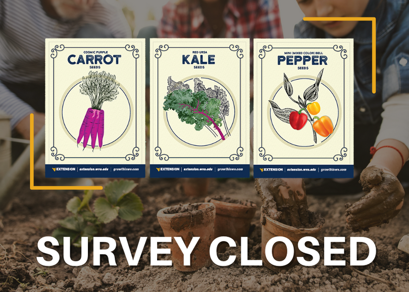 Seed packets for carrots, kale and mini bell peppers over the words "Survey closed."