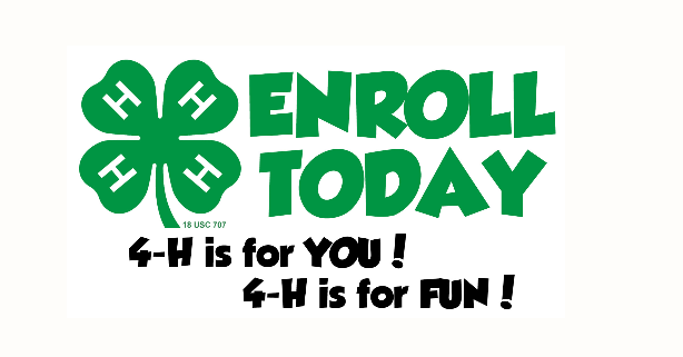 enroll in 4-H picture