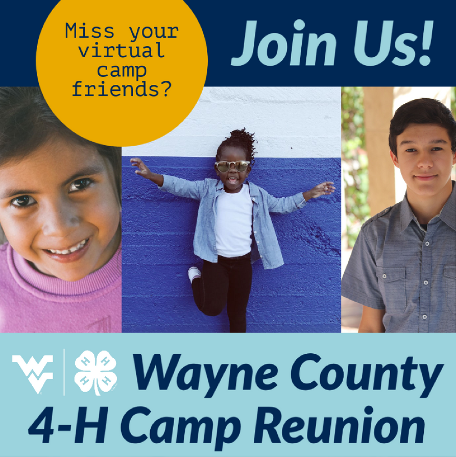 Miss your virtual camp friends-Join Us-Wayne County 4-H Camp Reunion