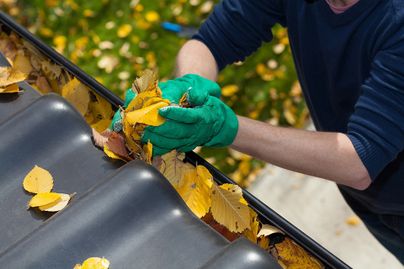 person removing autumn leave from house gutter