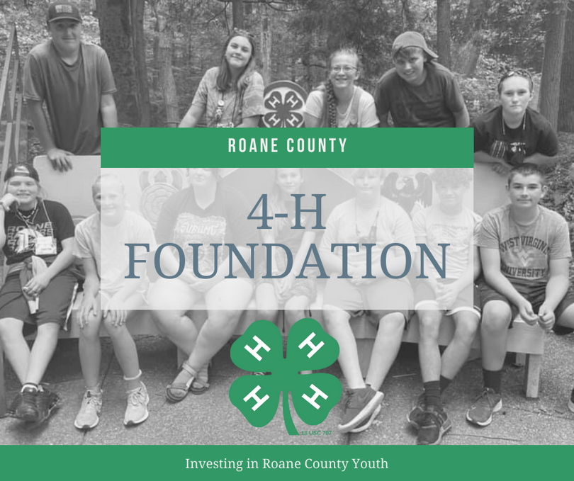 Text reads "Roane County 4-H Foundation: Investing in Today's Youth" over a black and white image of a group of 4-H youth