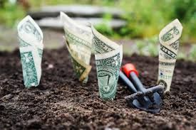 Money growing in the soil.