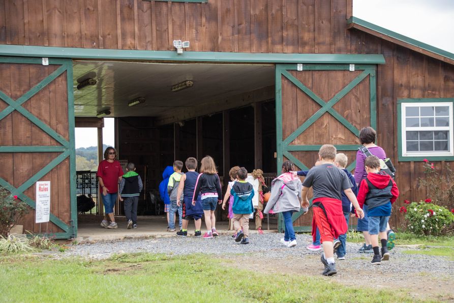 Children on school field trip walking into barn to learn about farm animals 