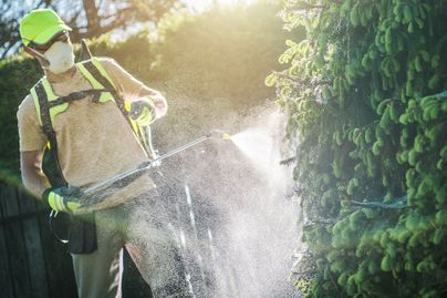 A person applies pesticides or fertilizer with safety equipment.