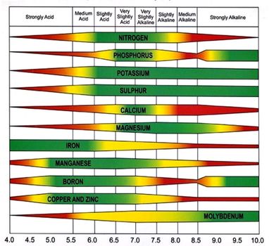 Chart explaining the influence of soil pH on nutrient availability