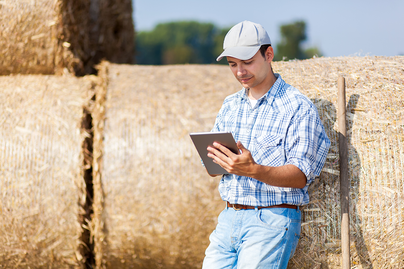 young male farmer leaning on hale bales looking at clipboard