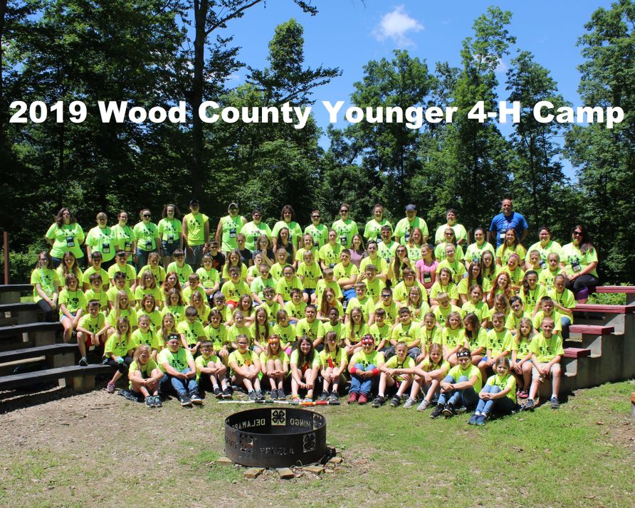 Wood County 2019 younger 4h camp.