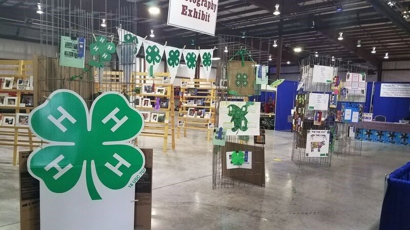 4-H exhibits are displayed during the Mon County Fair 2017. 