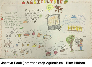 Jazmyn Pack (Intermediate) Argirculture poster showing animals and the food associated with them; she received a blue ribbon