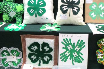 Example of 4-H projects