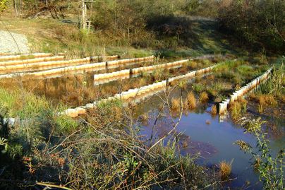 A passive wetland works to treat acid mine drainage.