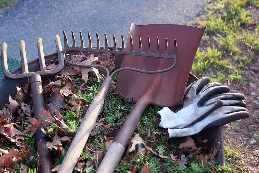 pitch fork, rack and shovel laying on a wheelburrow full of lawn debris