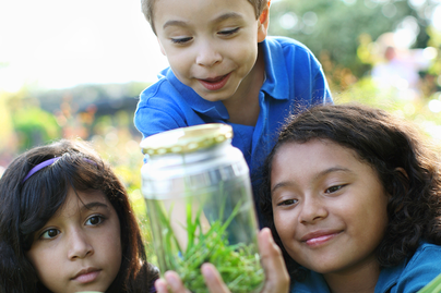two young girls and one boy looking at a jar with bugs and grass inside