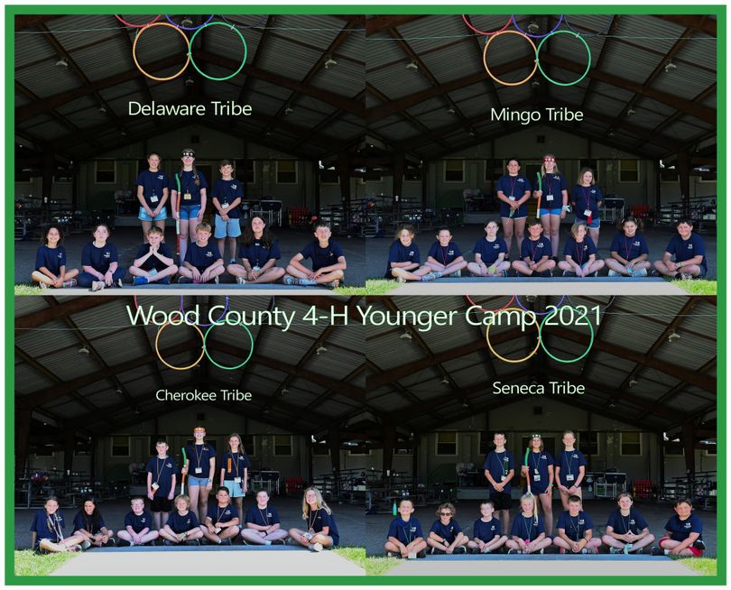 4-H campers at Younger Camp in Wood County