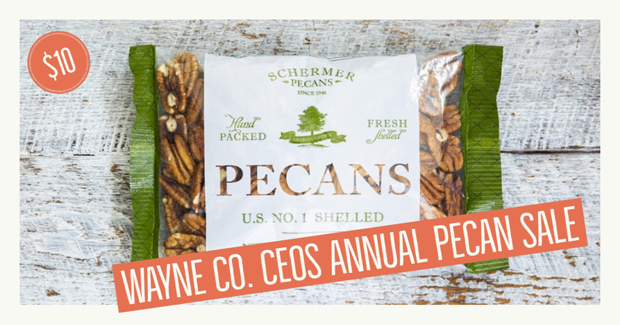 2019 Wayne County CEOS Pecan Sale Fundraiser - $10 Bag