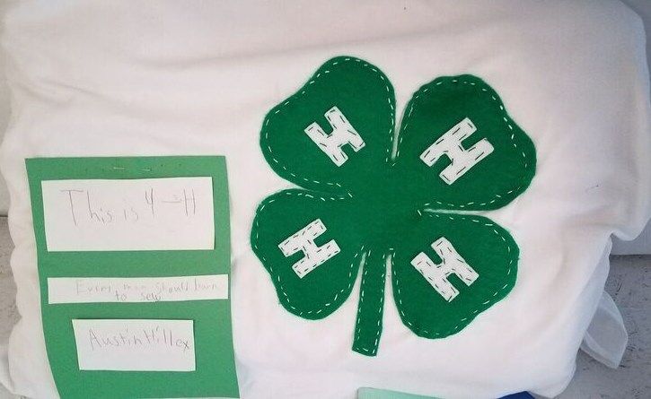 Austin Hilley’s “This is 4-H” project exhibit. 