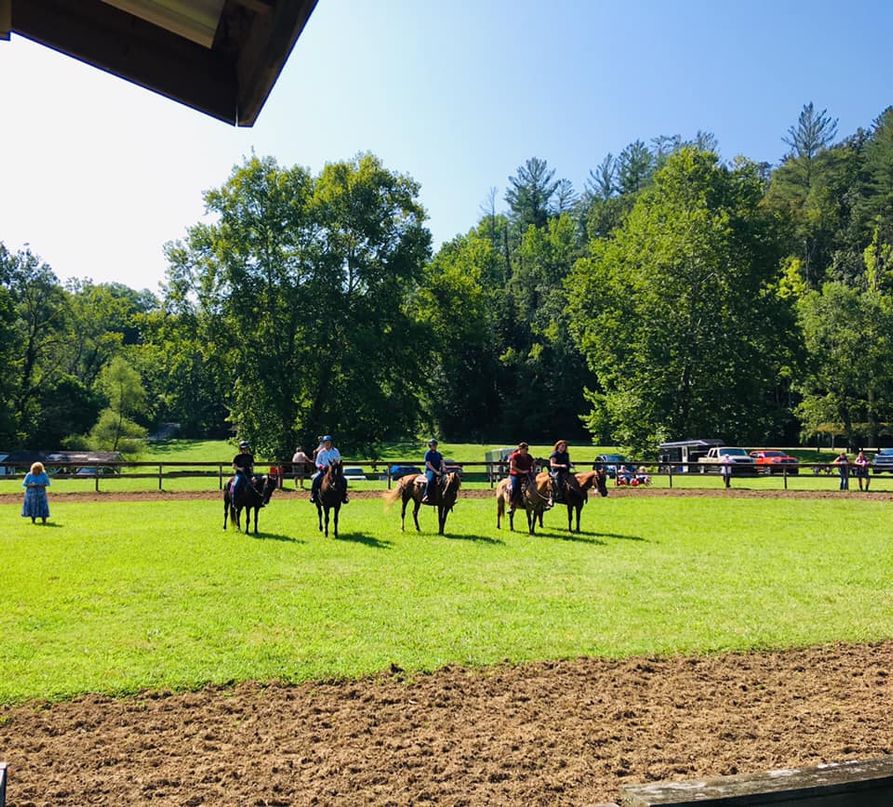 Competitors in 2019 Open Horse Show