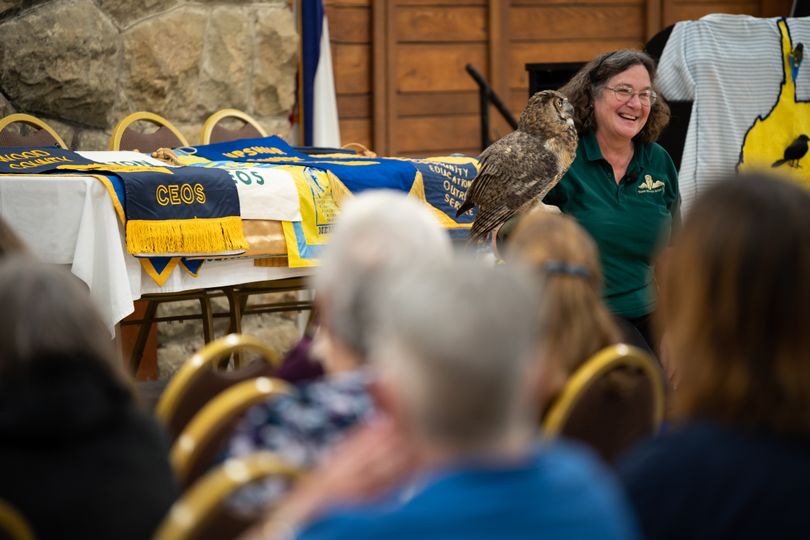 A woman holding an owl speaks to a group of conference attendees.
