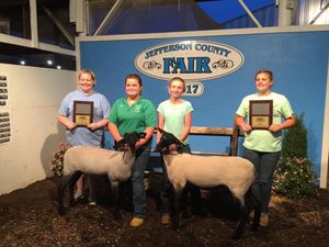 Madison Cogle, Jefferson County 4-H'er, 2022 Youth in Action Agriculture Award Winner