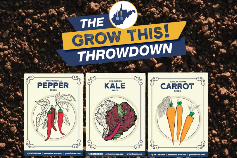 Seed packets for Grow This 2024 — carrots, kale and peppers.