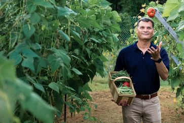 Dean Jorge Atiles walks through row of garden while holding a basket of product and tossing a tomato in the air.