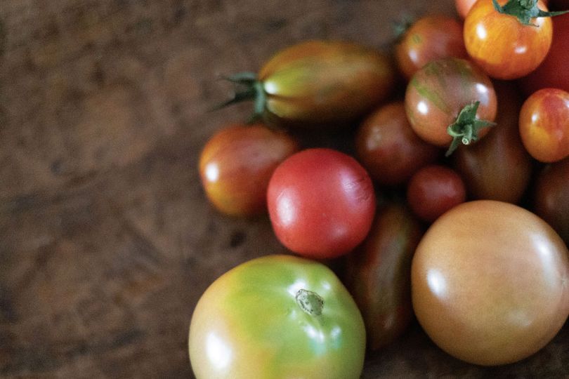 Red, green, yellow and orange tomato varieties on a table.