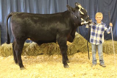 boy with market steer