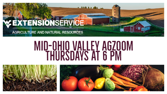 Mid-Ohio Valley AgZoom Thursdays at 6 pm