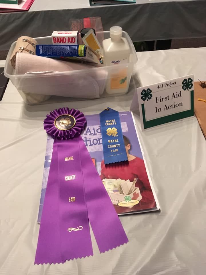 Alivia Adkins Best of Show First Aid 4-H Project
