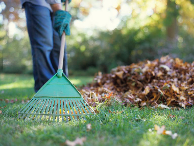 person raking leaves to get lawn and garden ready for fall
