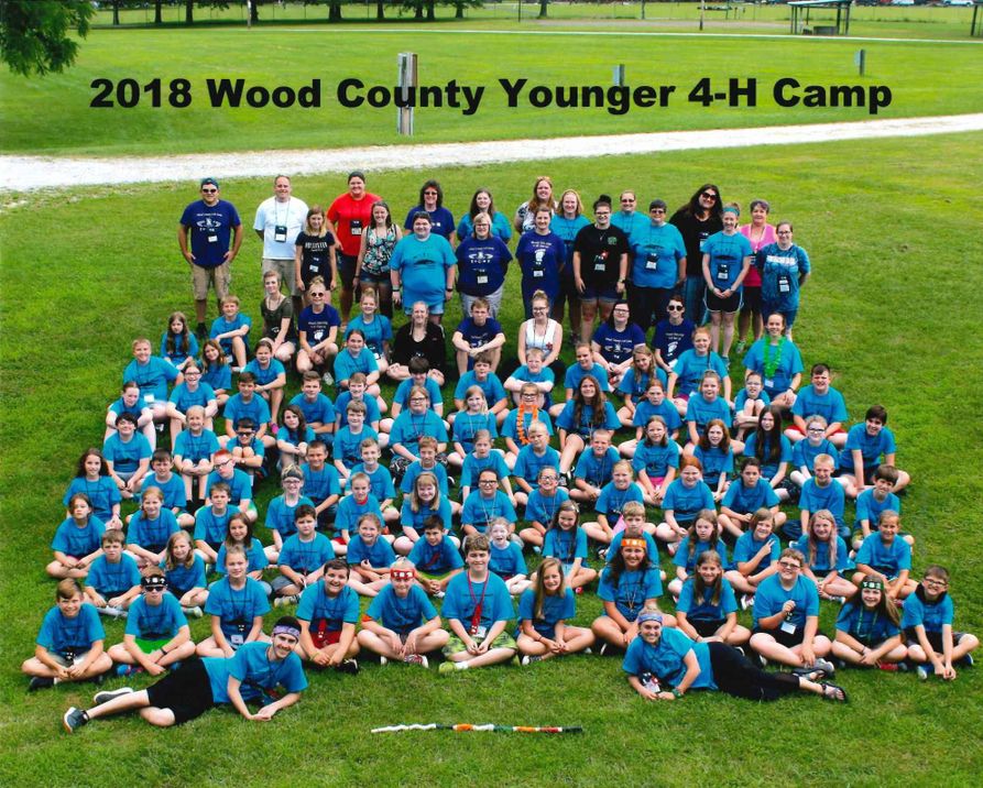 younger 4-H Camp group photo