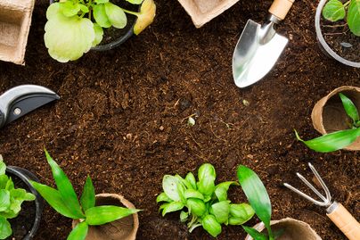 gardening tools on top of soil