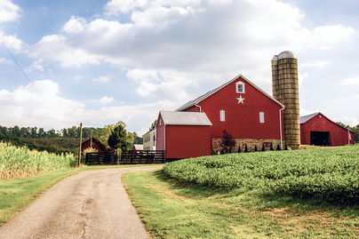 red barn and outbuildings at the end of a road; corn and soybean on either side of the road