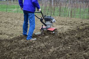 A person tills dirt with a motorized tiller.