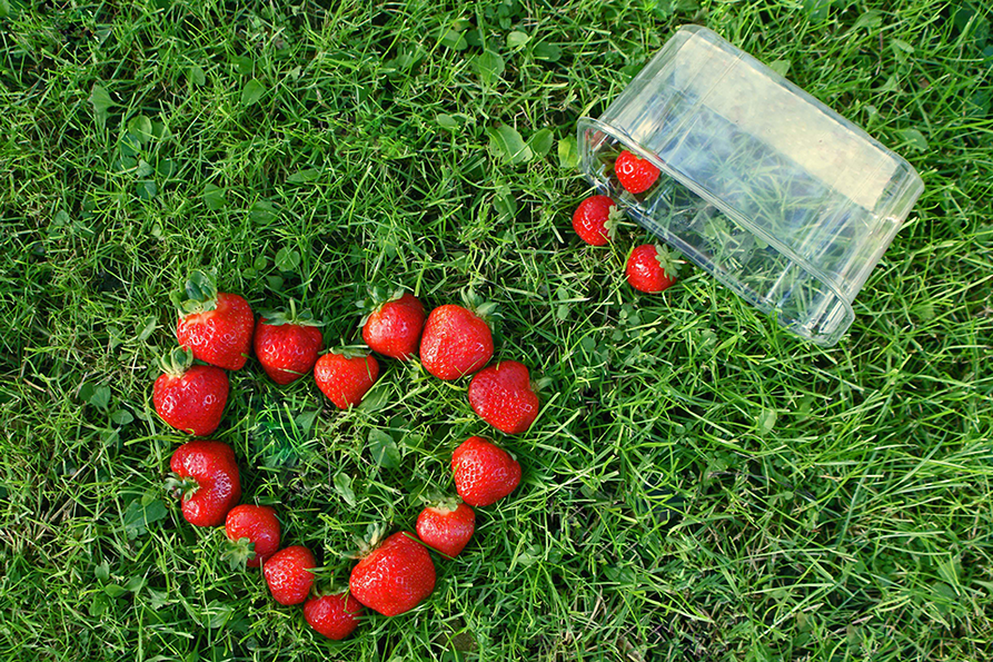 Strawberries laying in grass in the shape of a heart as they spill out of a clear plastic container. 