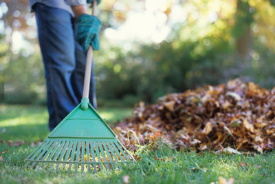 person raking leaves to get lawn and garden ready for fall