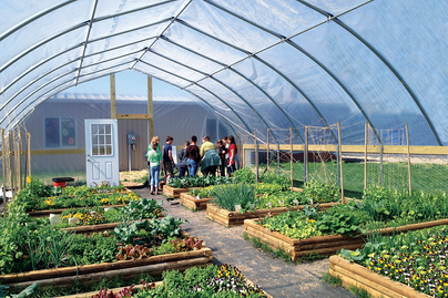 A high tunnel greenhouse.