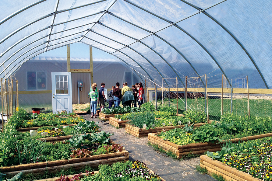 high tunnel with raised beds of garden vegetables, a group of school children in the back corner