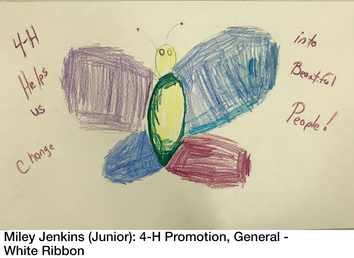 John Moore (Junior) 4-H Club Promotion poster showing colorful butterfly; reads 4-H helps us change into beautiful people